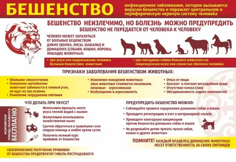 Бешенство 1