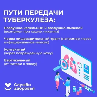 Проф ка туберкулеза 3